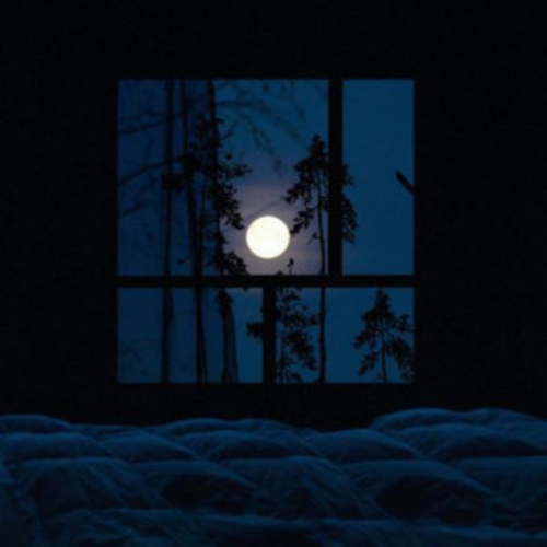 FREE Fake Window Scenes Pack